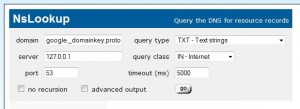 Screenshot of Network Tool's NsLookup helper